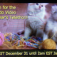 Illustration for article titled Nintendo To Host New Year's Eve Video Telethon on Your 3DS